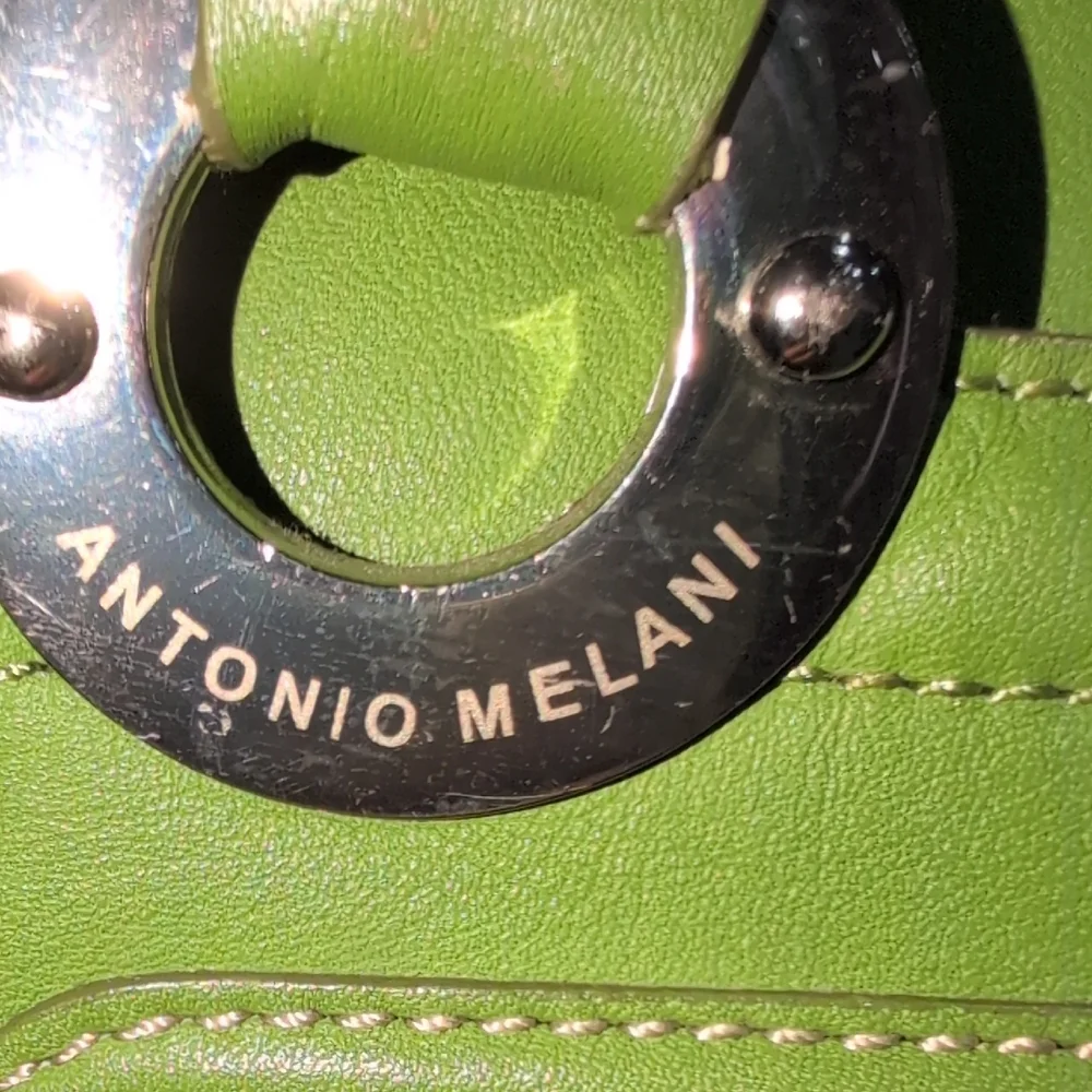 ANTONIO MELANI Green Satchel with Silver Accents